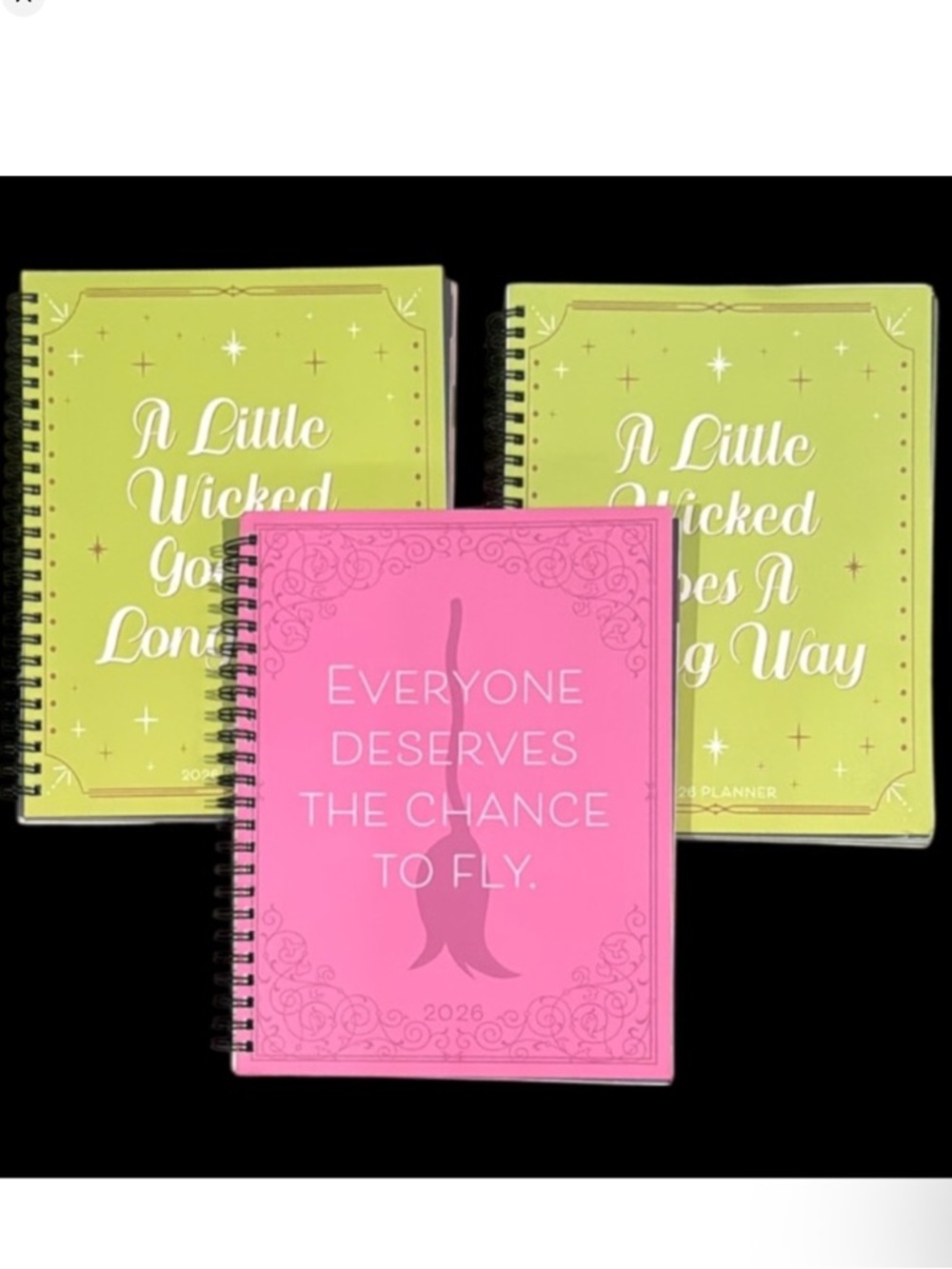 New lot of 3 Willow Creek Press "A Little Wicked" 2026 weekly calendar planners